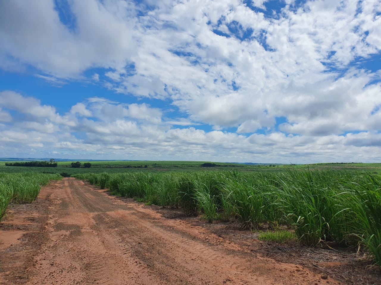 Fazenda, 240 m² - Foto 2