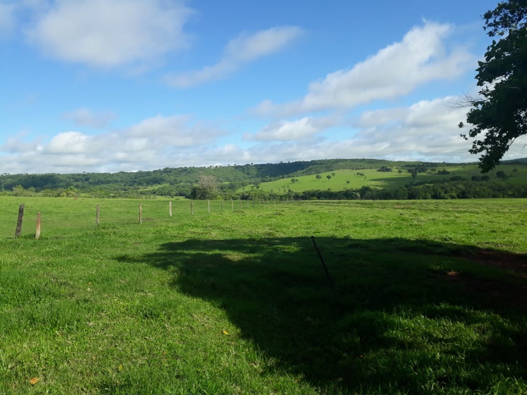 Fazenda, 560 m² - Foto 4