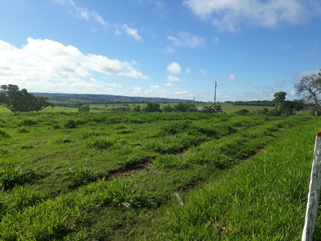 Fazenda, 560 m² - Foto 2