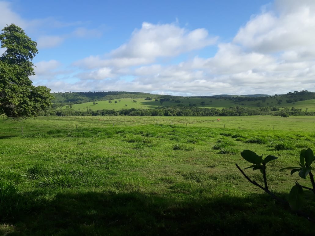 Fazenda, 560 m² - Foto 3