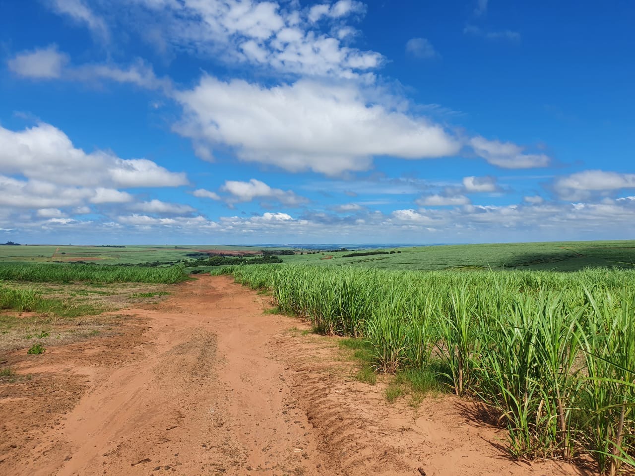 Fazenda, 240 m² - Foto 1