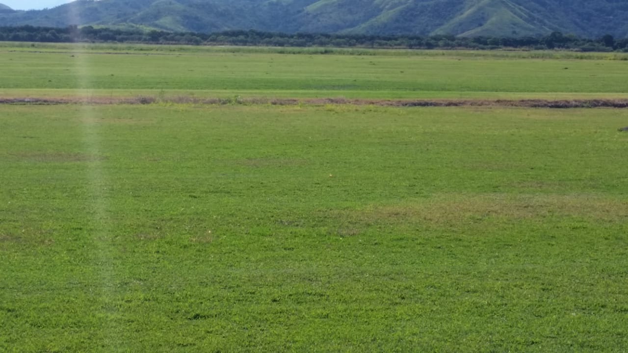 Fazenda, 99 m² - Foto 2