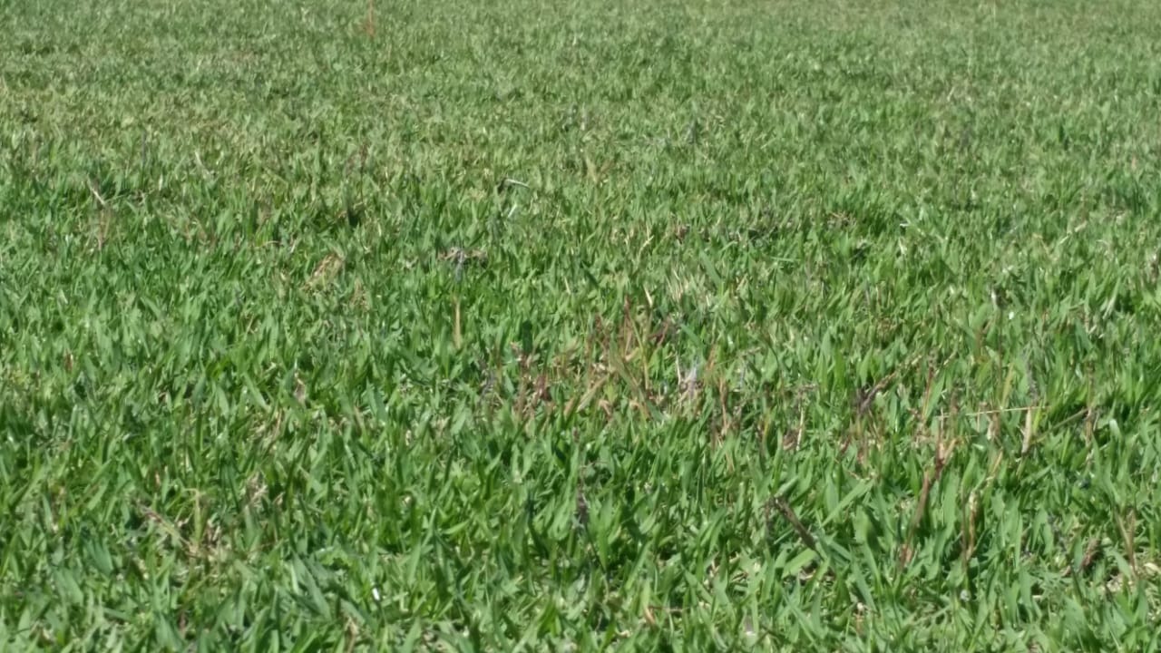 Fazenda, 99 m² - Foto 5