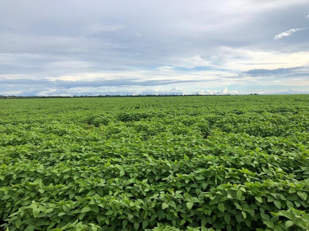 Fazenda, 2 hectares - Foto 1