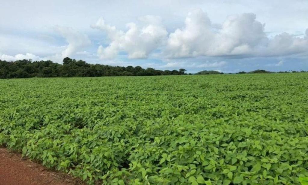 Fazenda, 2 hectares - Foto 3