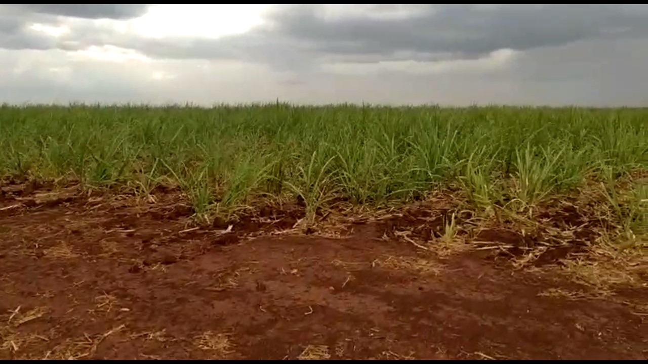 Sítio, 13 m² - Foto 5