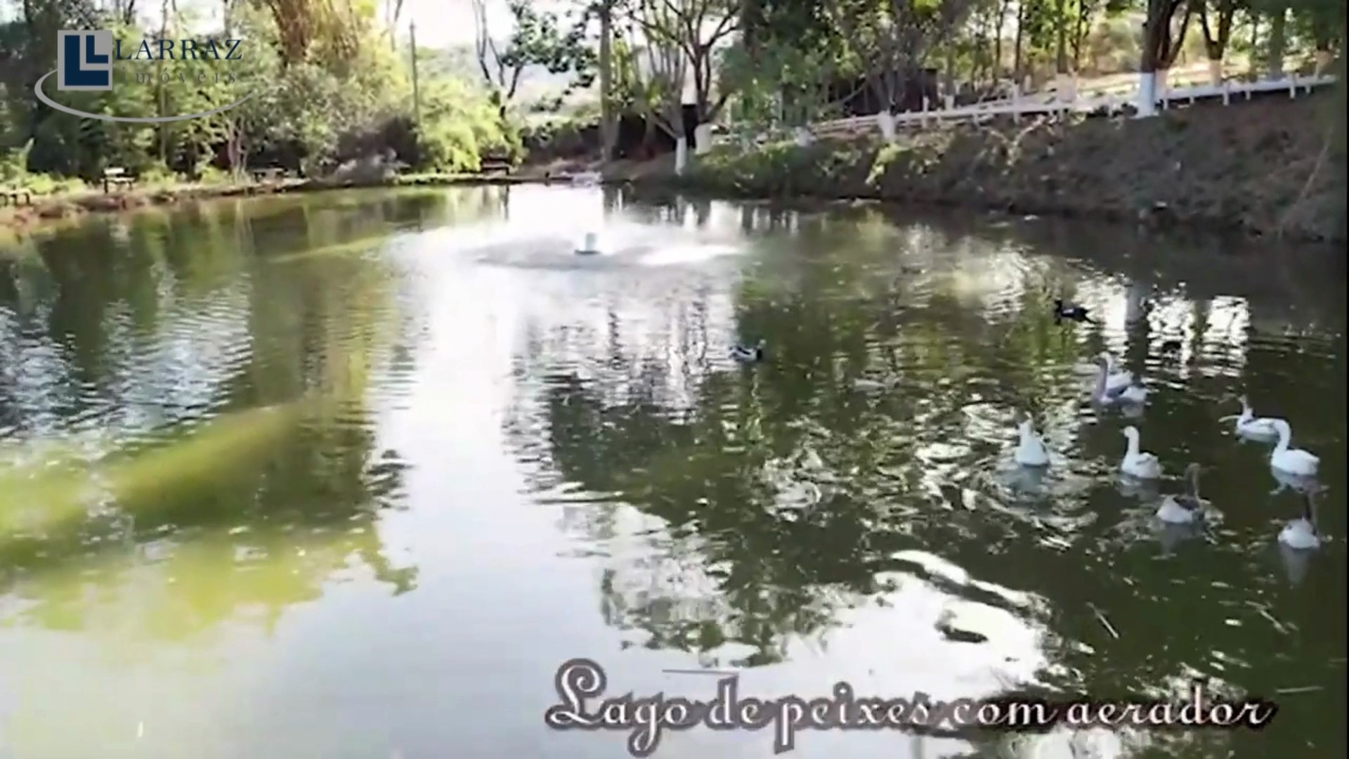 Sítio, 15 m² - Foto 40