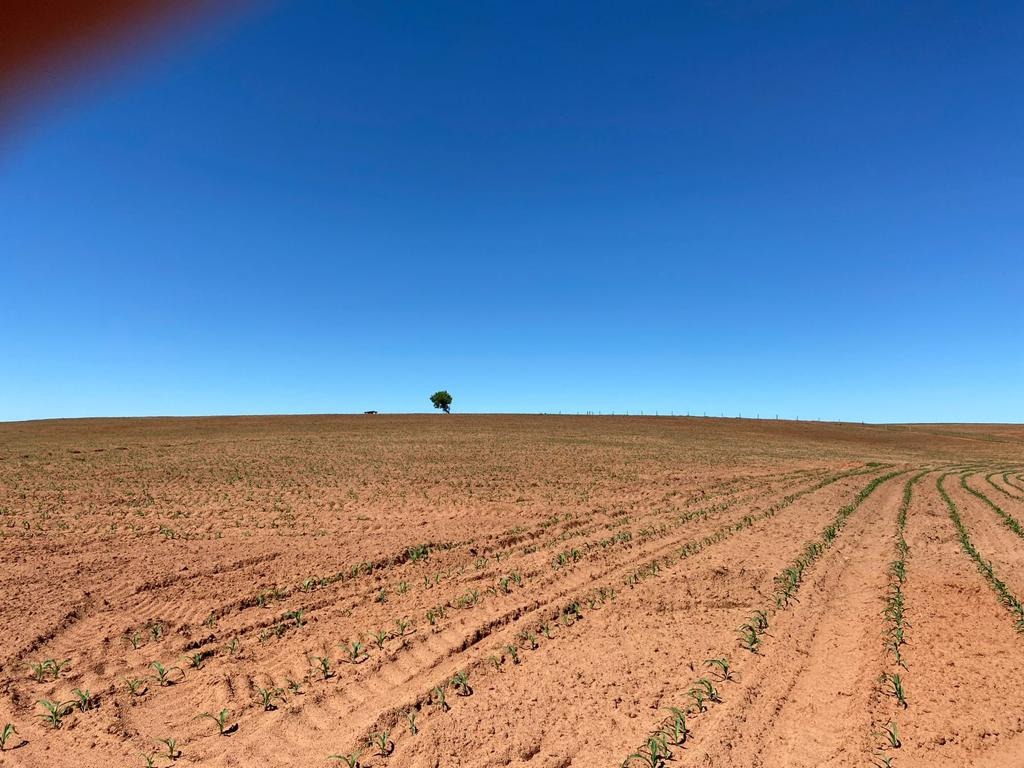 Fazenda, 130 m² - Foto 5