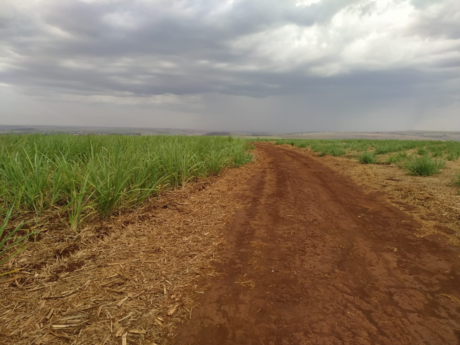 Sítio, 61 m² - Foto 2