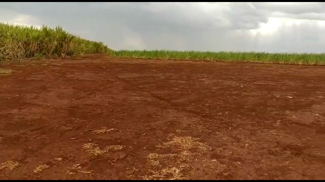 Sítio, 13 m² - Foto 3