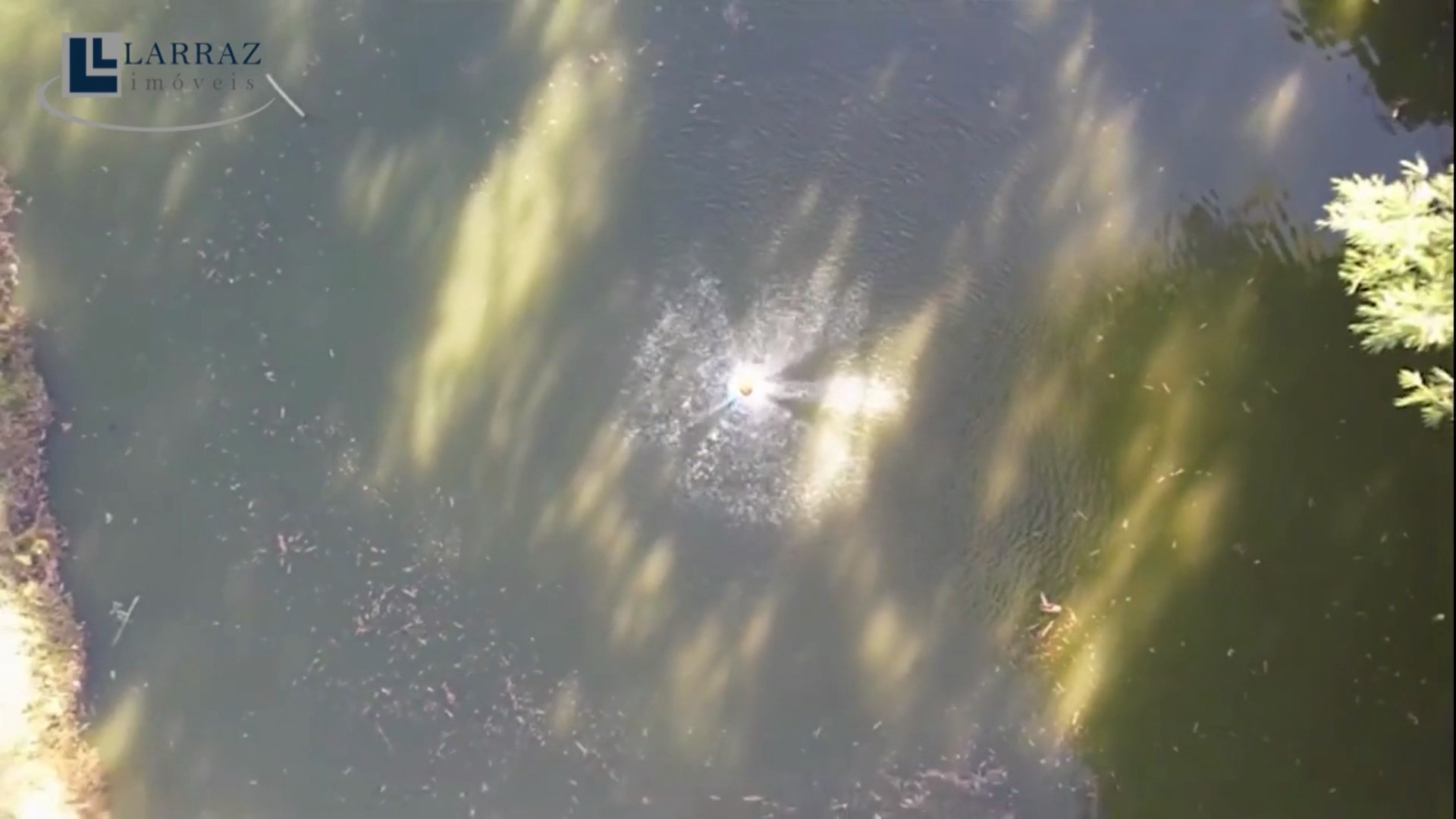 Sítio, 15 m² - Foto 41