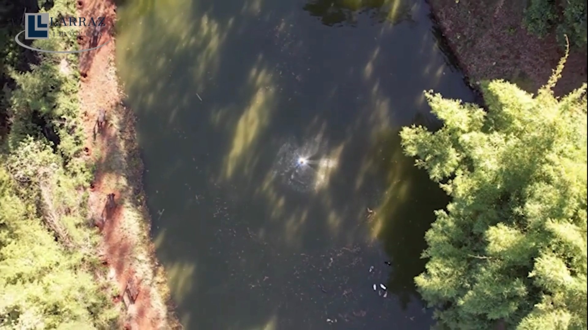 Sítio, 15 m² - Foto 42