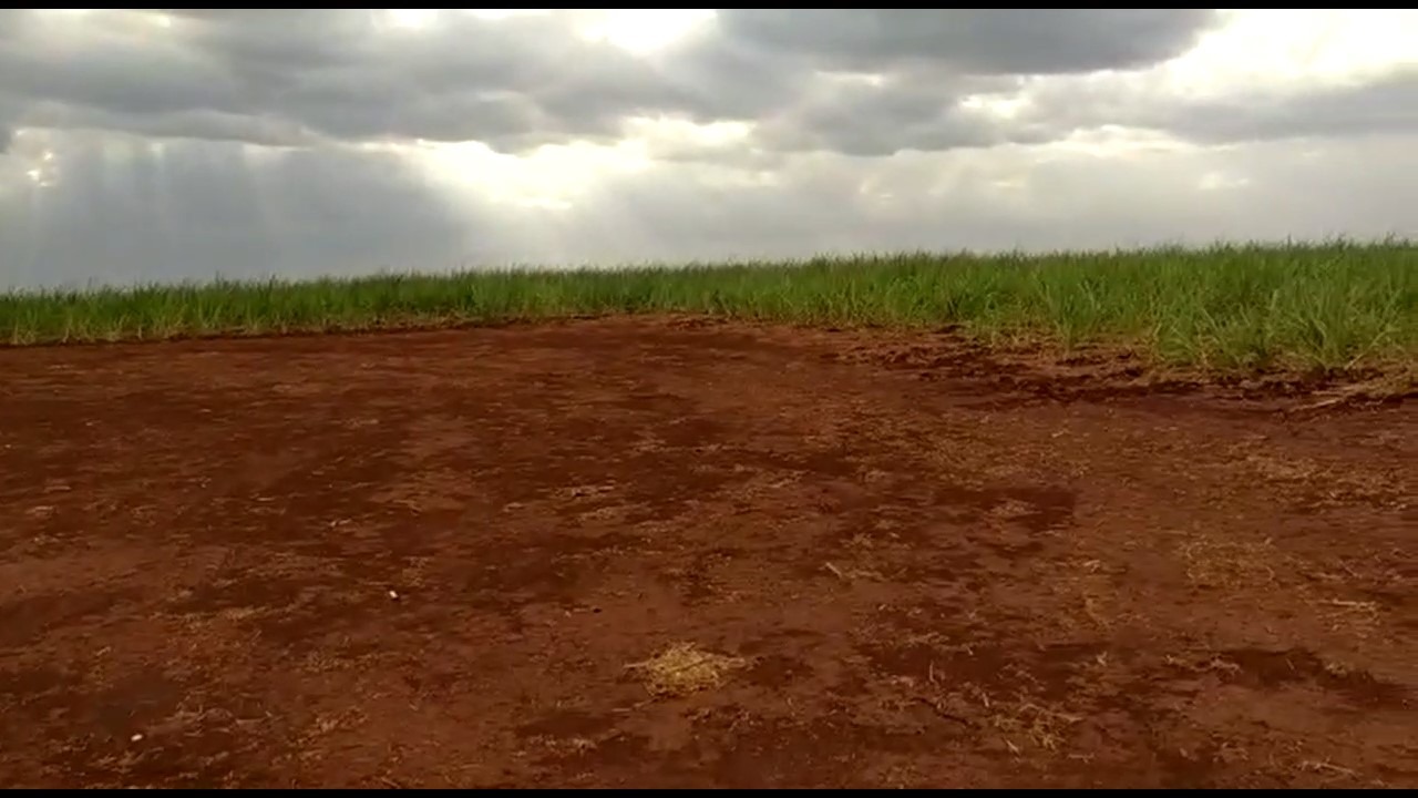 Sítio, 13 m² - Foto 4