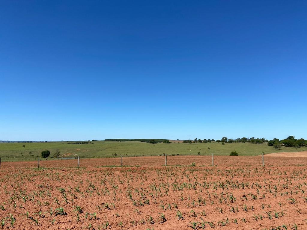 Fazenda, 130 m² - Foto 3