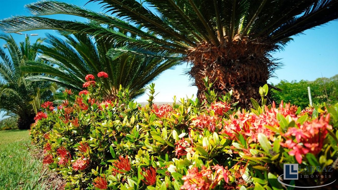 Terreno, 1000 m² - Foto 8