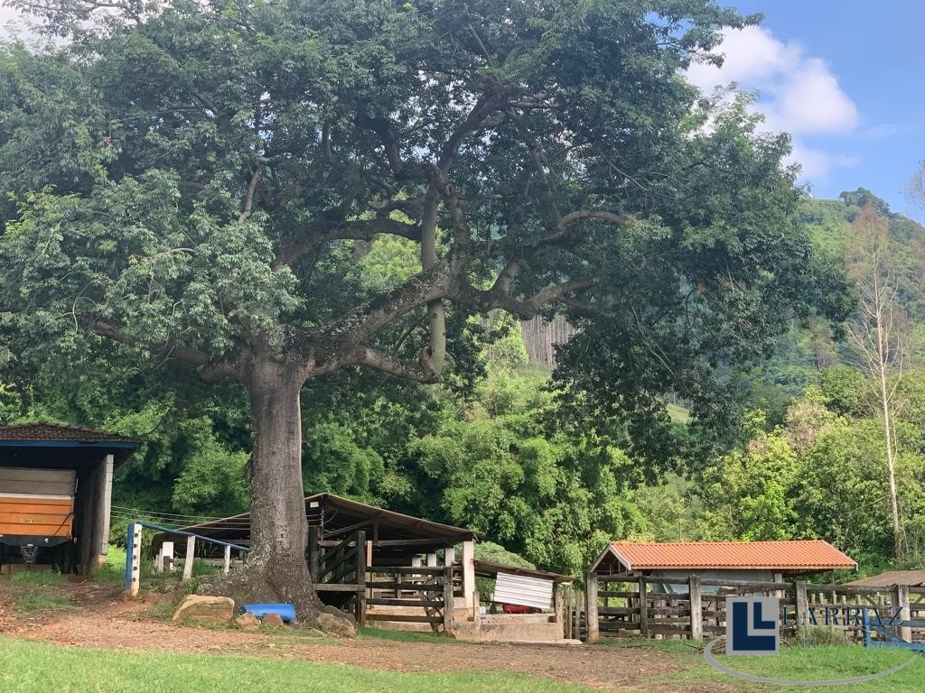 Sítio, 37 m² - Foto 4