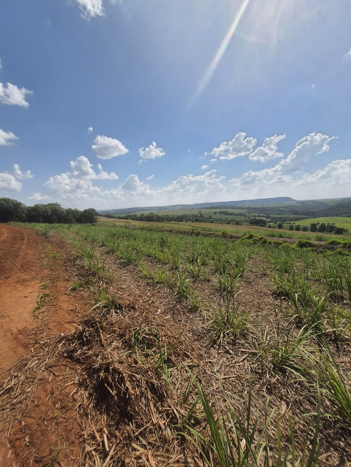 Fazenda, 90 m² - Foto 6