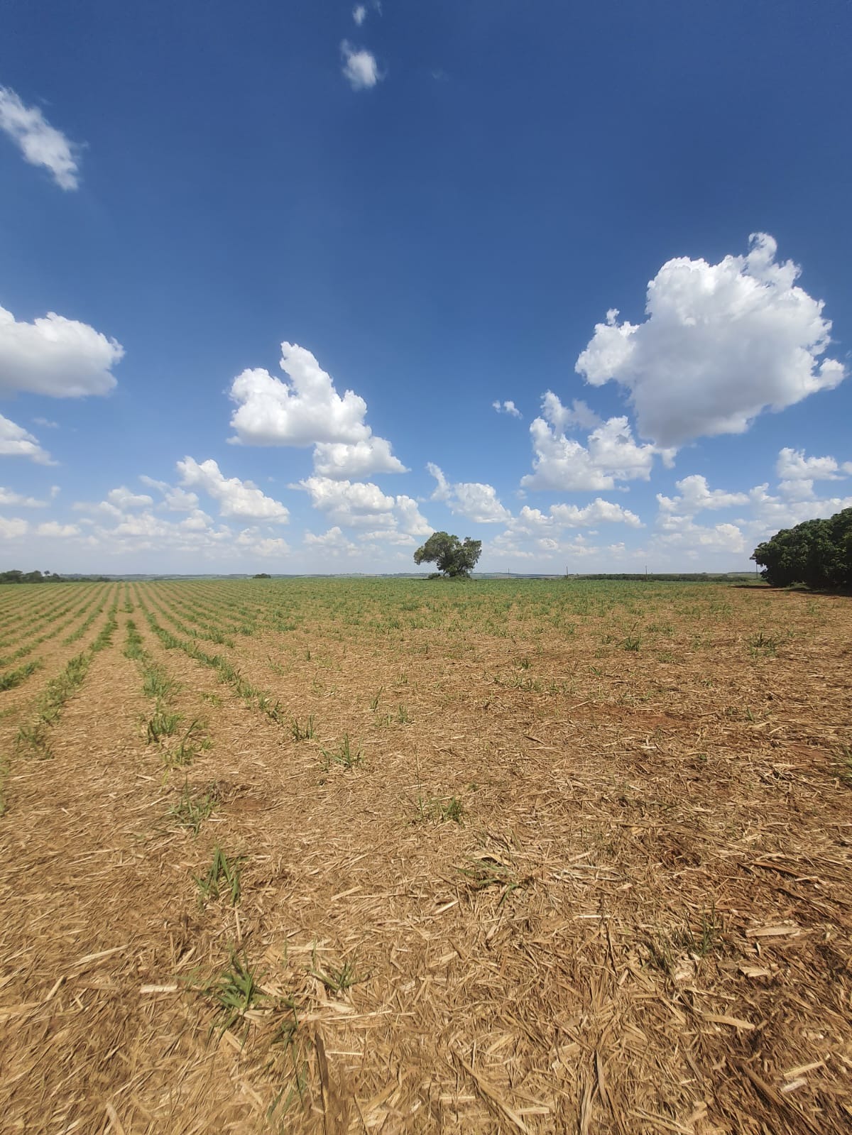 Fazenda, 90 m² - Foto 22