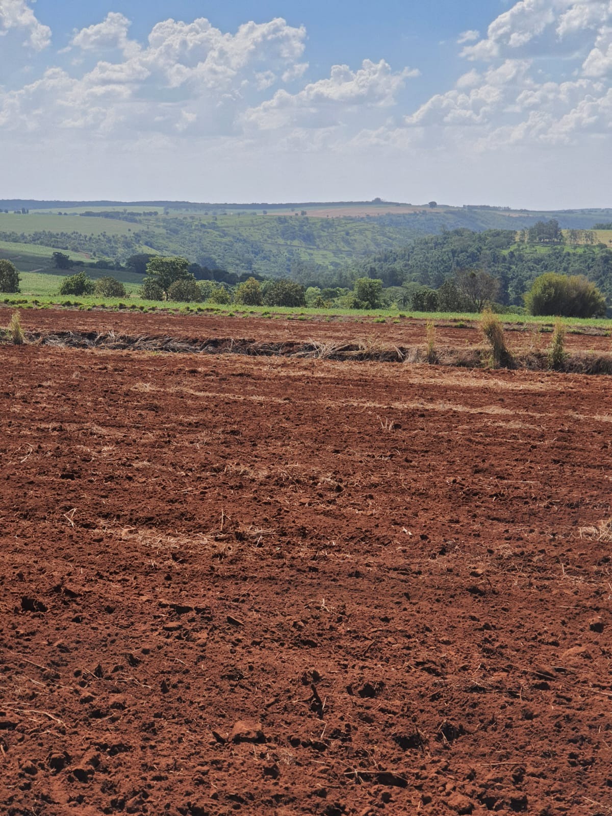 Fazenda, 90 m² - Foto 24