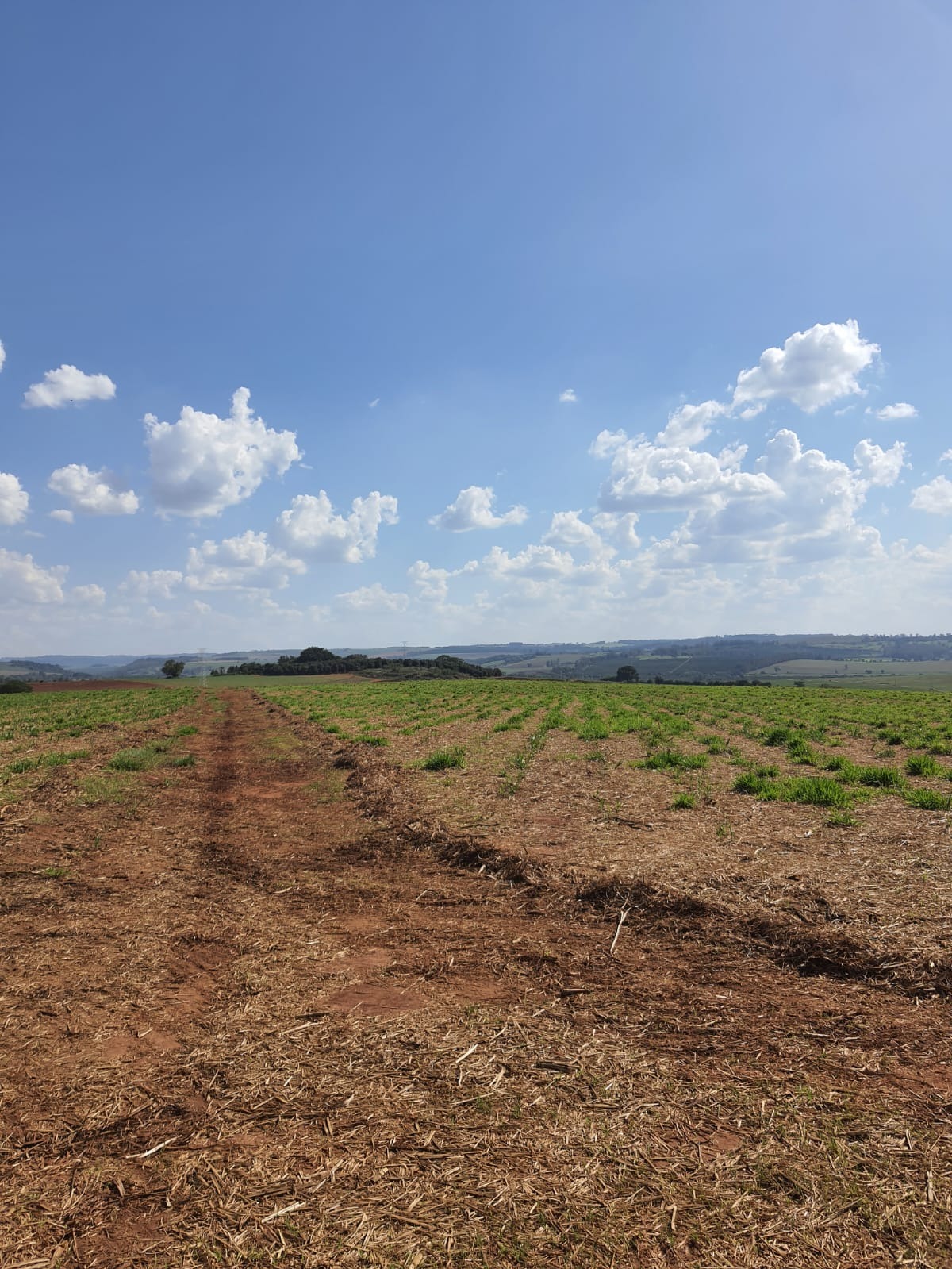 Fazenda, 90 m² - Foto 4