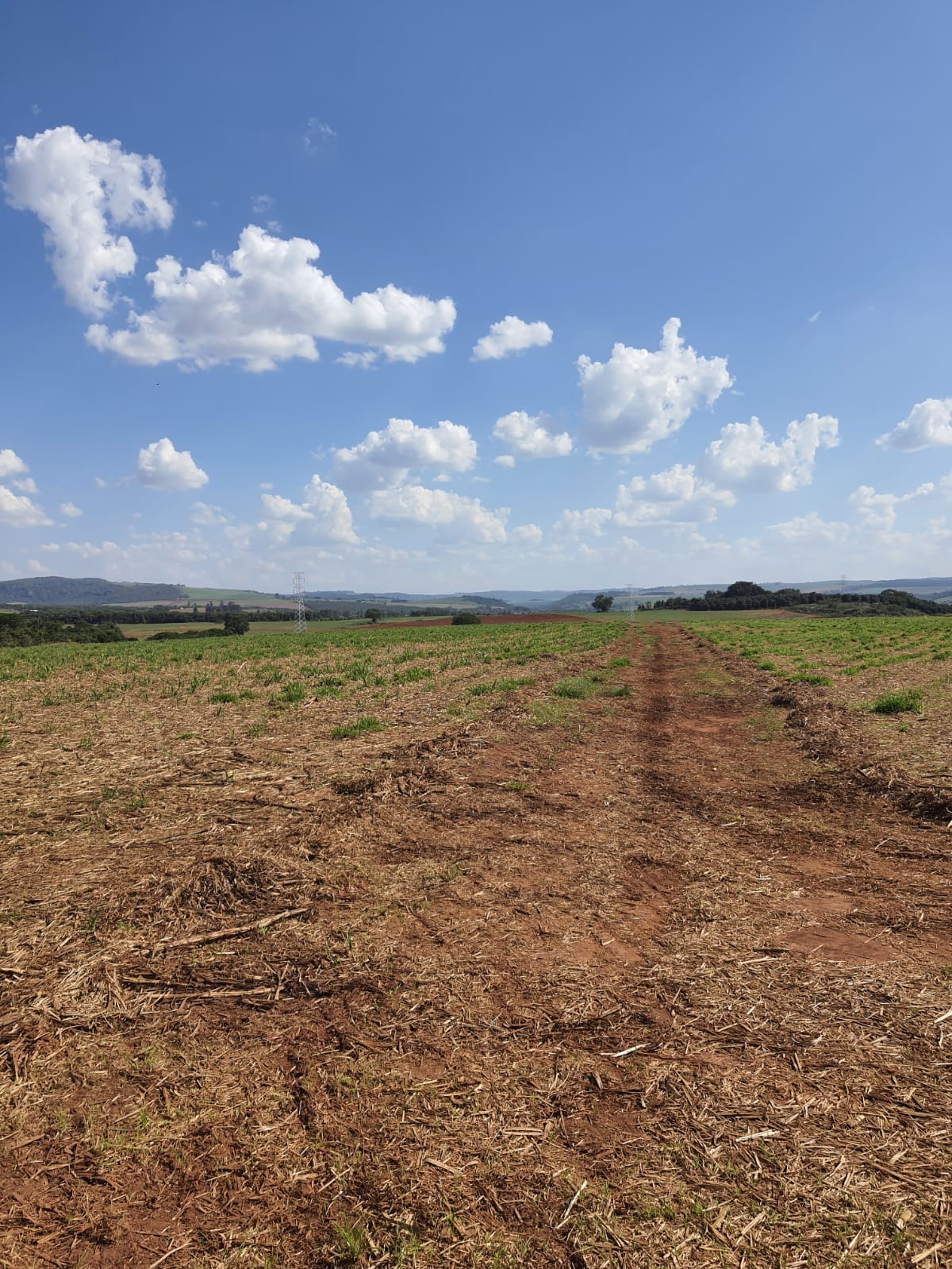 Fazenda, 90 m² - Foto 7