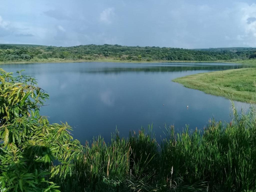 Fazenda, 330 m² - Foto 2