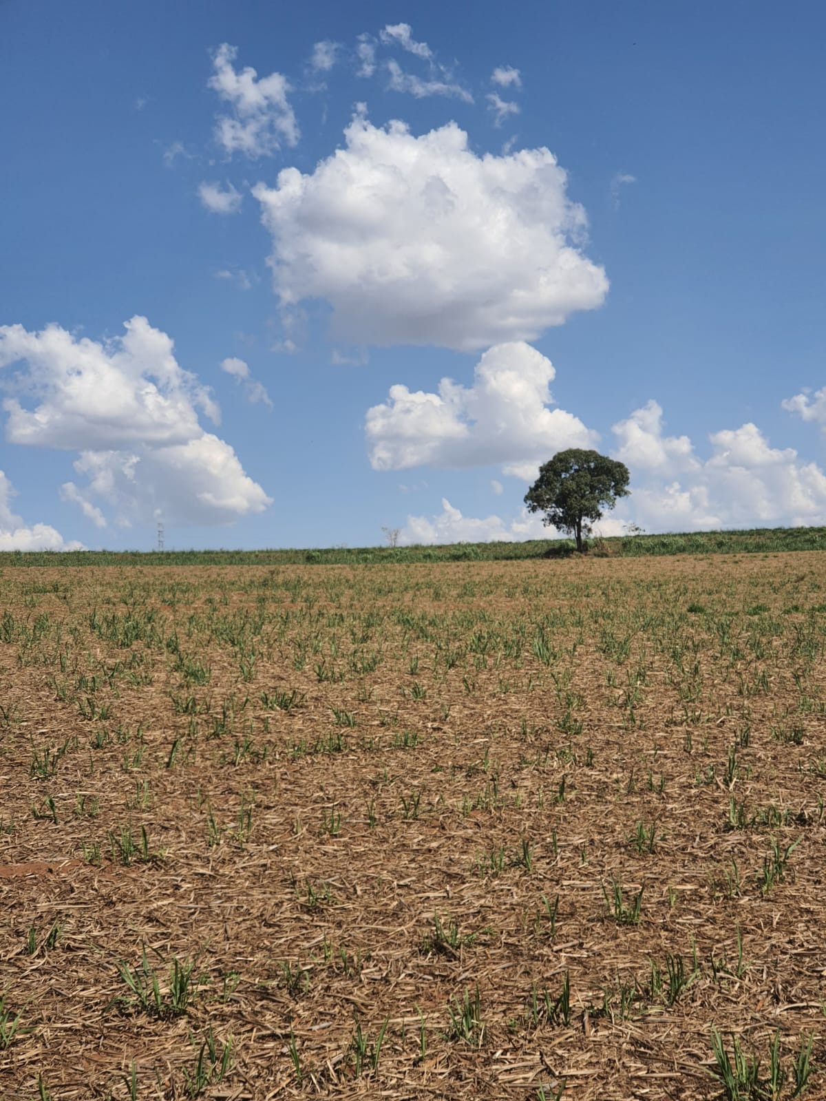 Fazenda, 90 m² - Foto 9