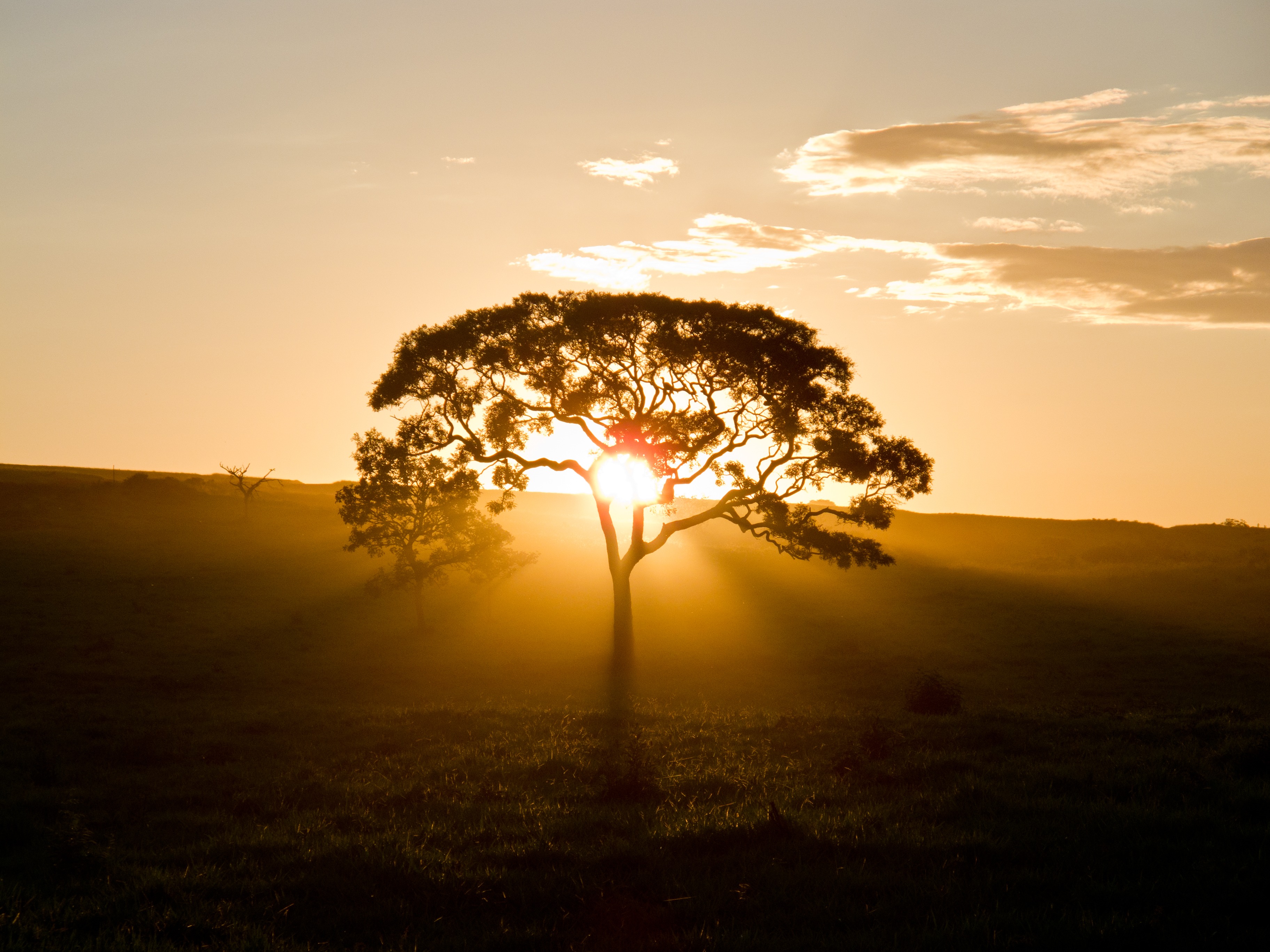 Terreno, 350 m² - Foto 23