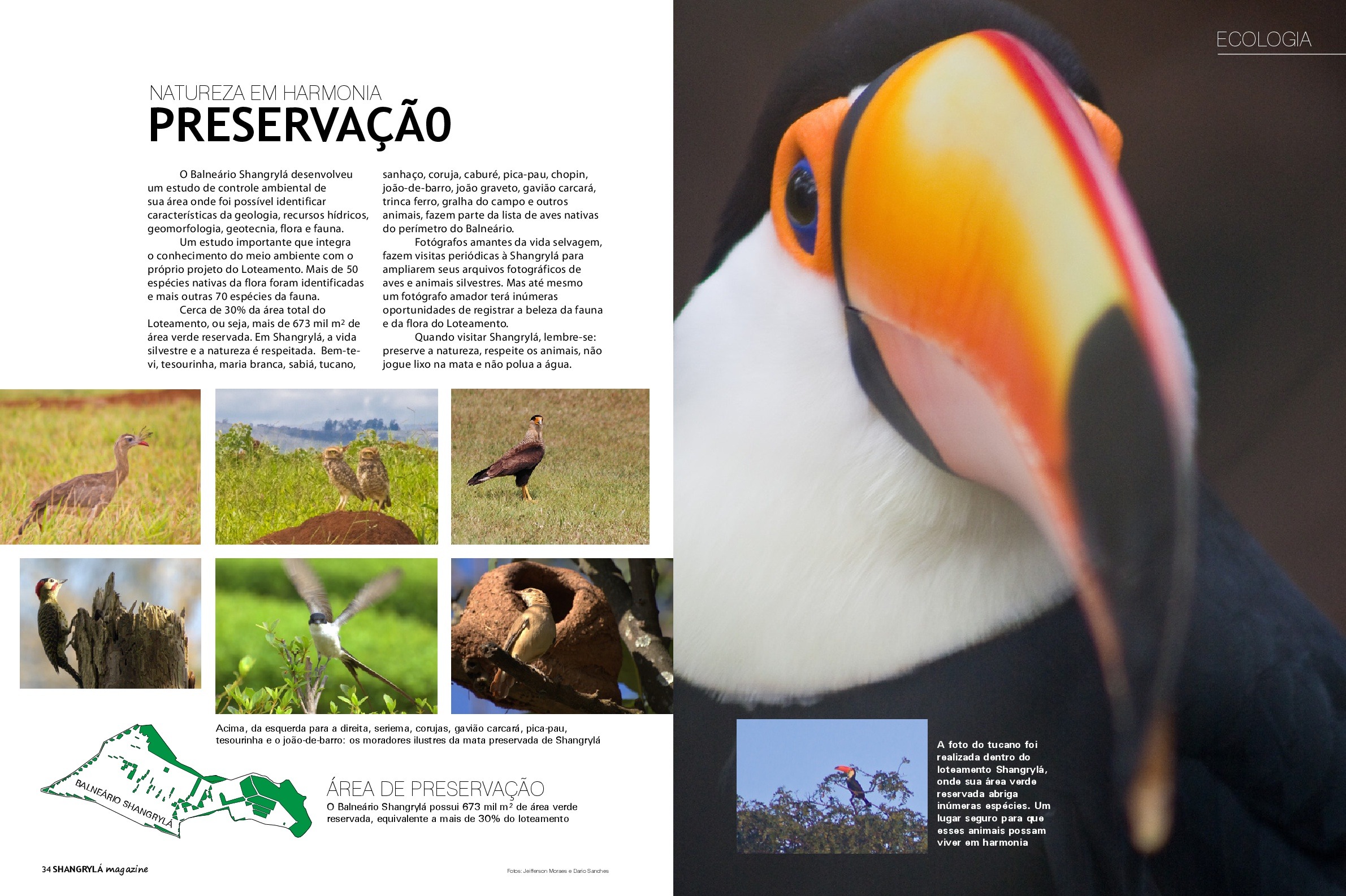 Terreno, 350 m² - Foto 35