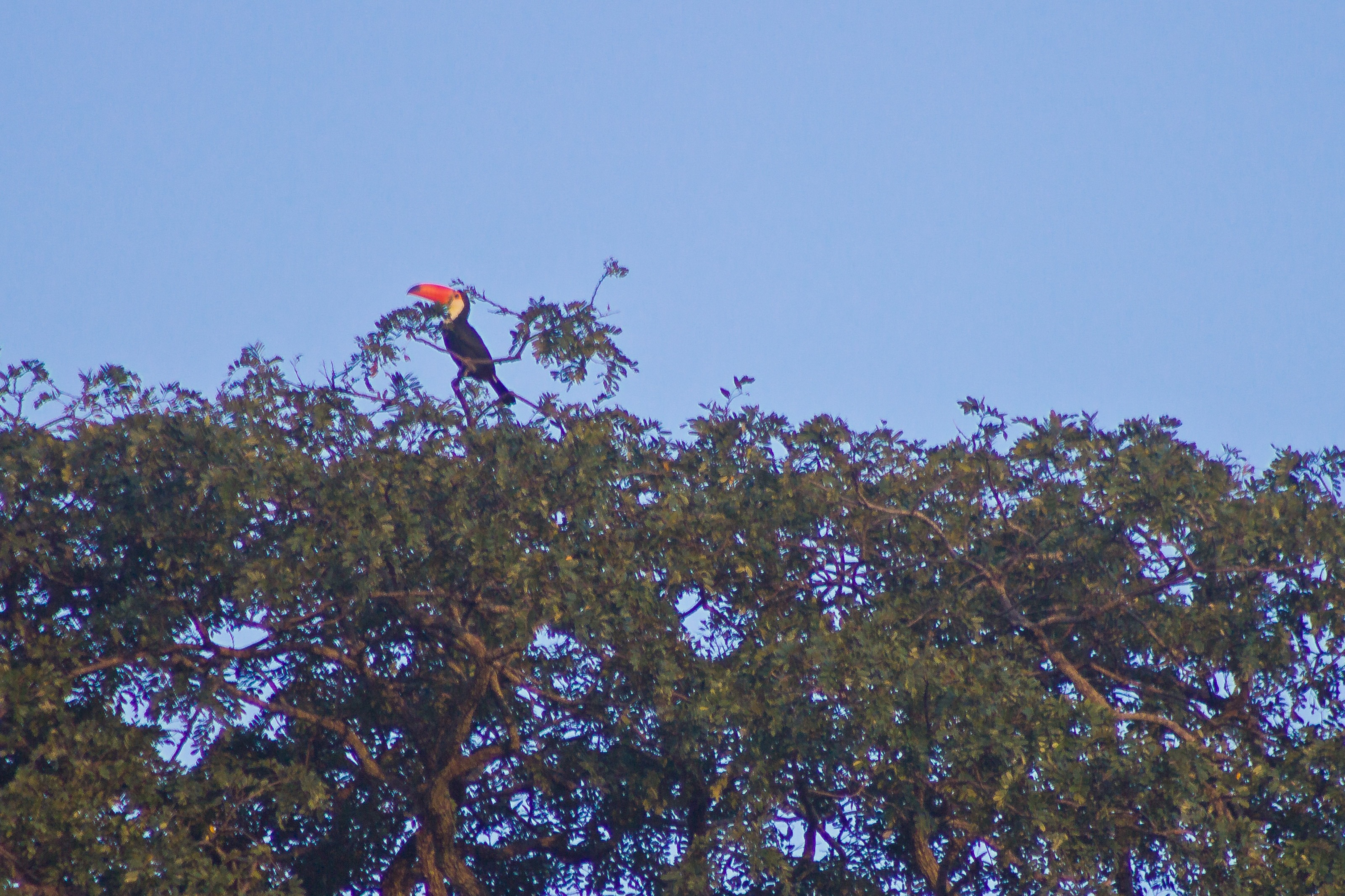 Terreno, 350 m² - Foto 58