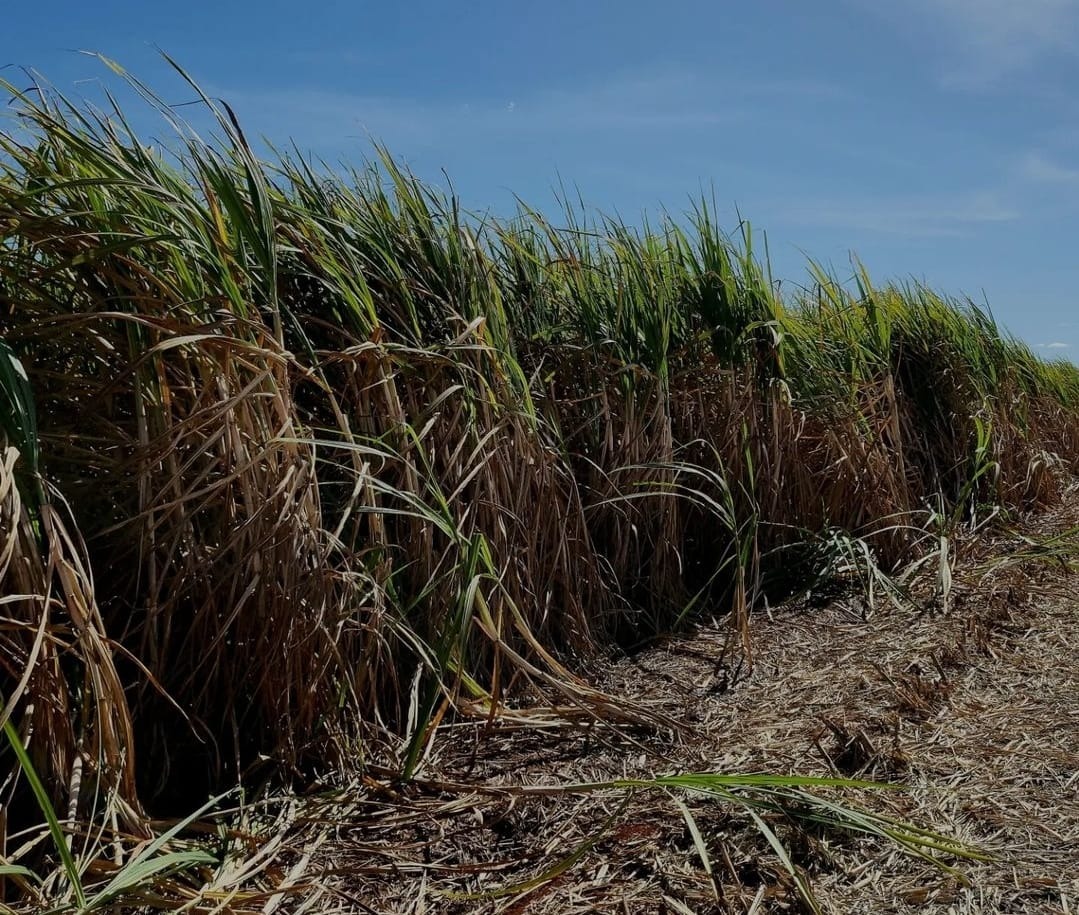 Fazenda, 430 m² - Foto 2