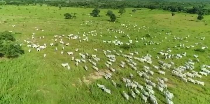 Fazenda, 3099 m² - Foto 1