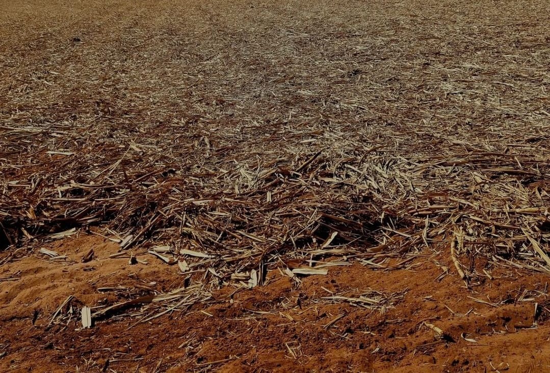 Fazenda, 430 m² - Foto 3