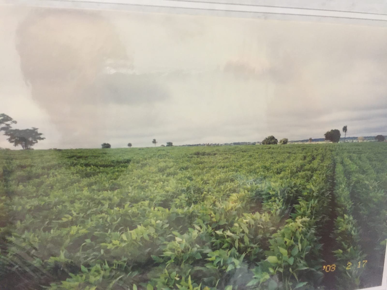 Fazenda, 82 m² - Foto 7