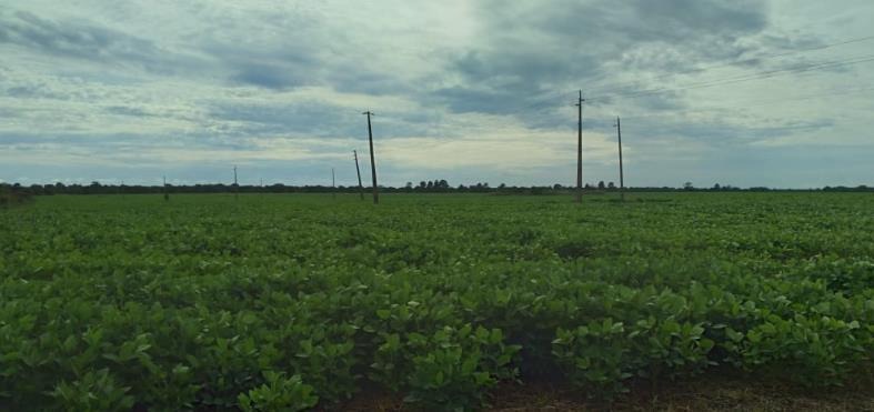 Fazenda, 3 hectares - Foto 2