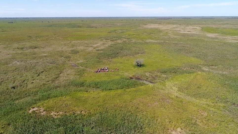 Fazenda, 4 hectares - Foto 1