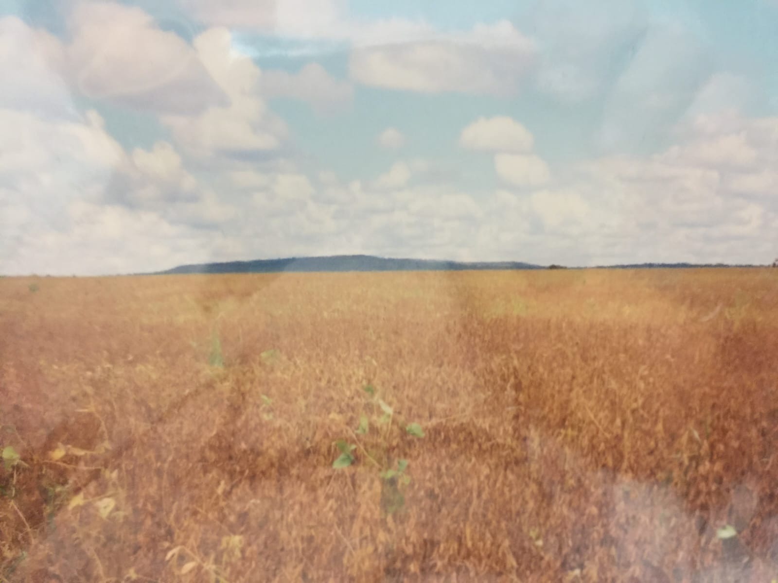 Fazenda, 82 m² - Foto 2