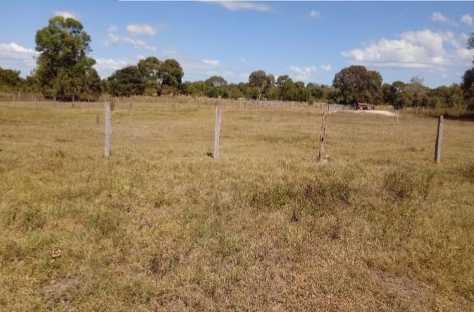 Fazenda, 3925 m² - Foto 1