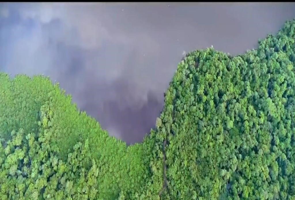 Fazenda, 5413 m² - Foto 1