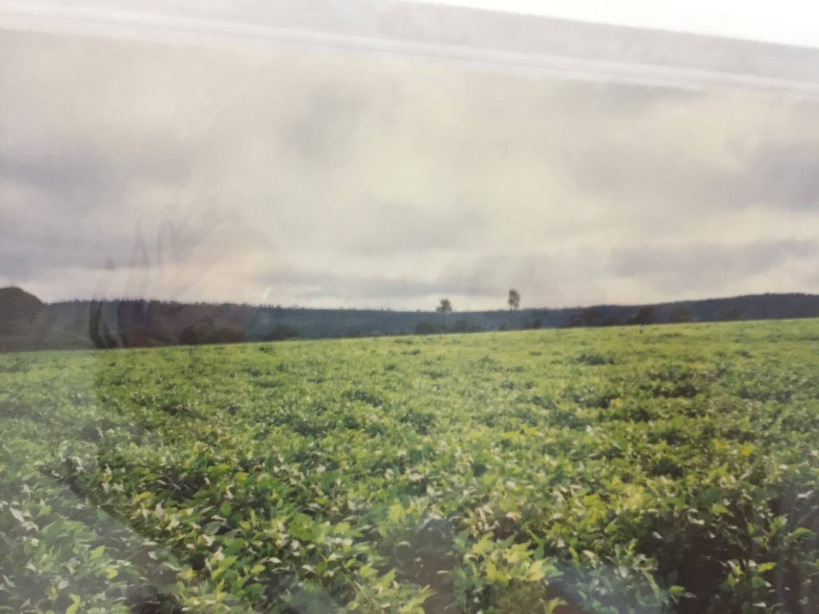 Fazenda, 82 m² - Foto 11