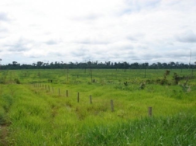 Fazenda, 6 hectares - Foto 1