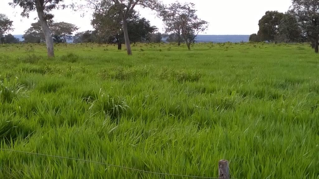 Fazenda, 2795 m² - Foto 7