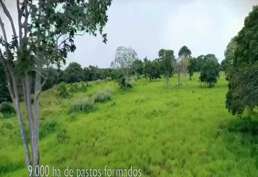 Fazenda, 5413 m² - Foto 2