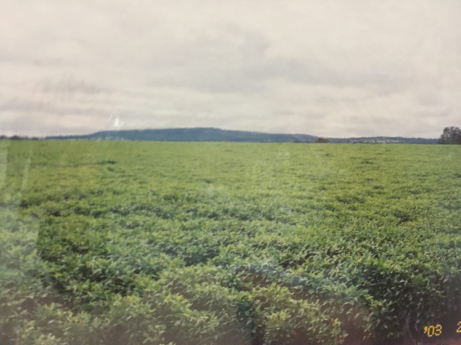 Fazenda, 82 m² - Foto 6