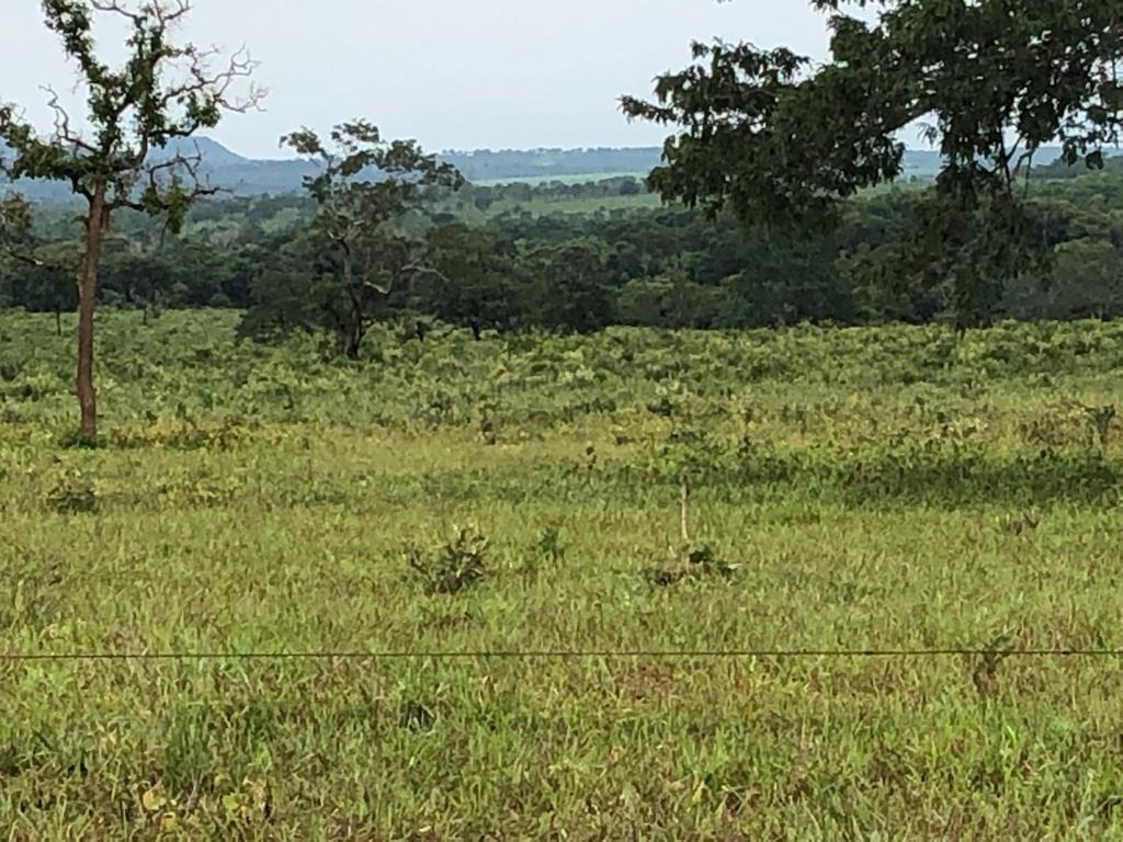 Fazenda, 2795 m² - Foto 3