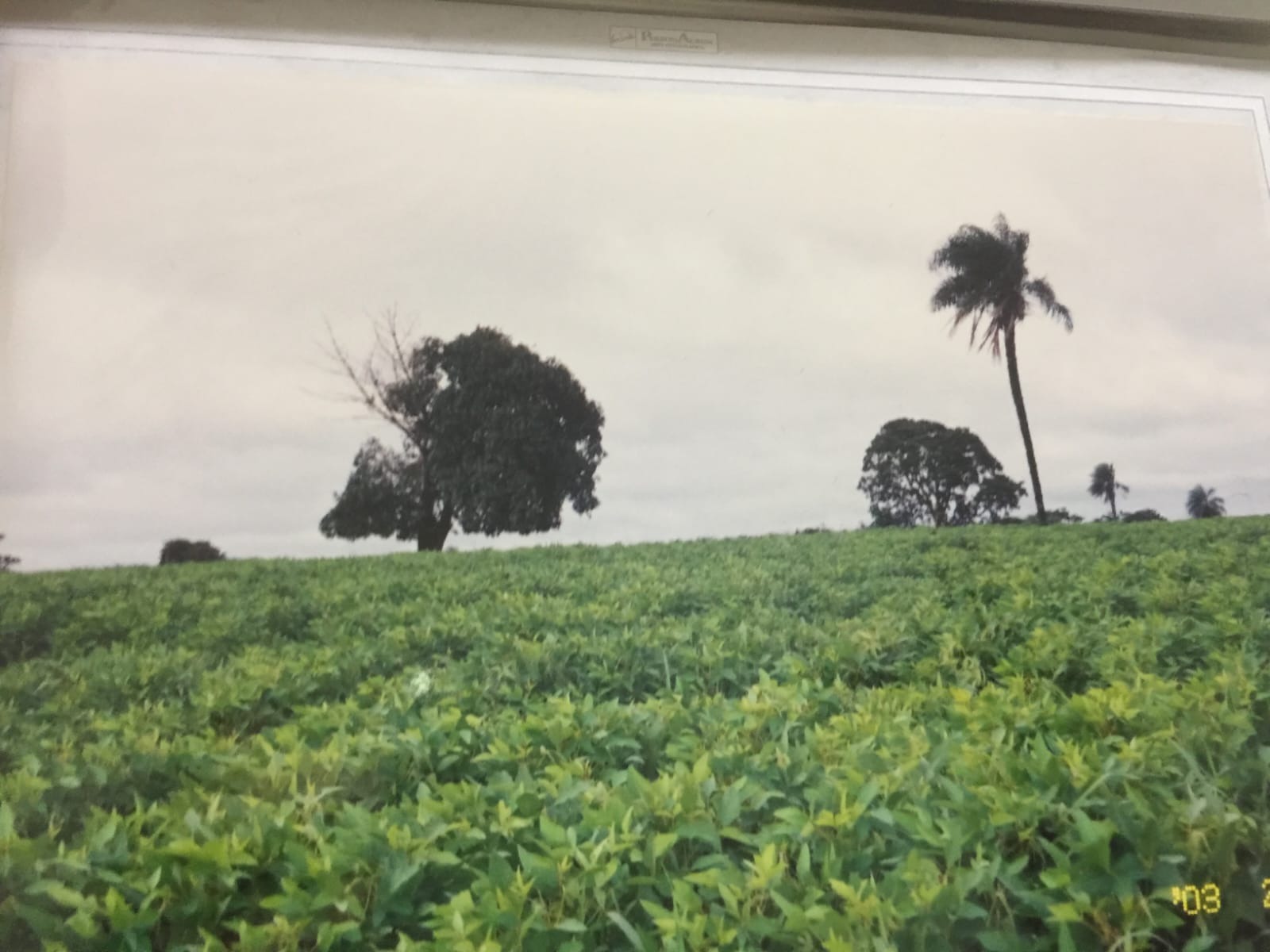 Fazenda, 82 m² - Foto 8