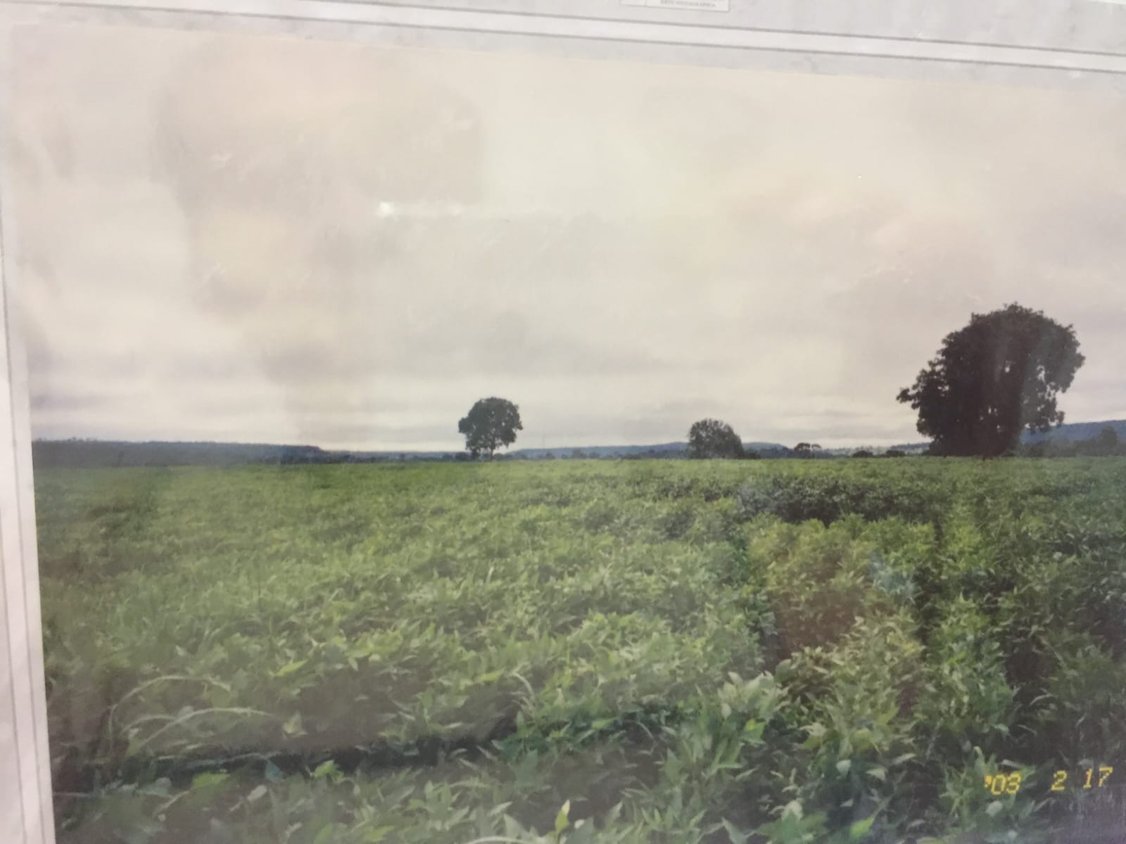 Fazenda, 82 m² - Foto 9