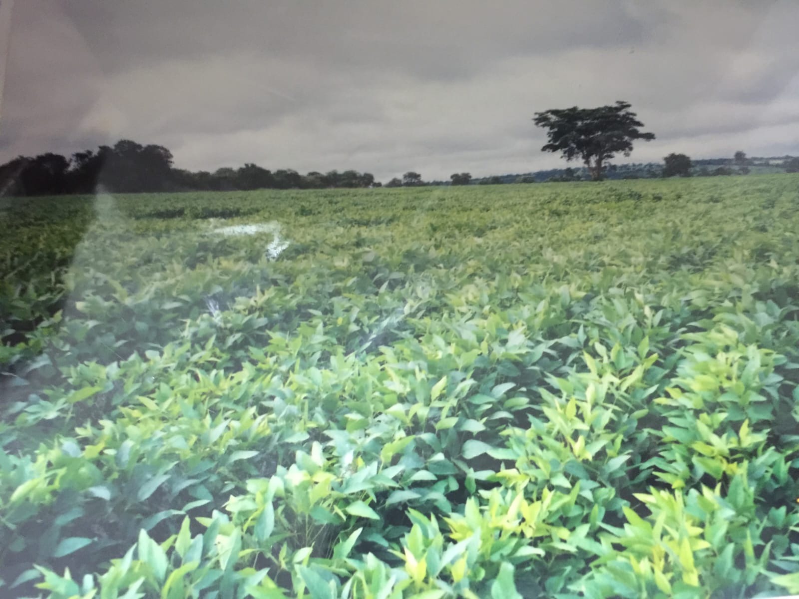 Fazenda, 82 m² - Foto 10