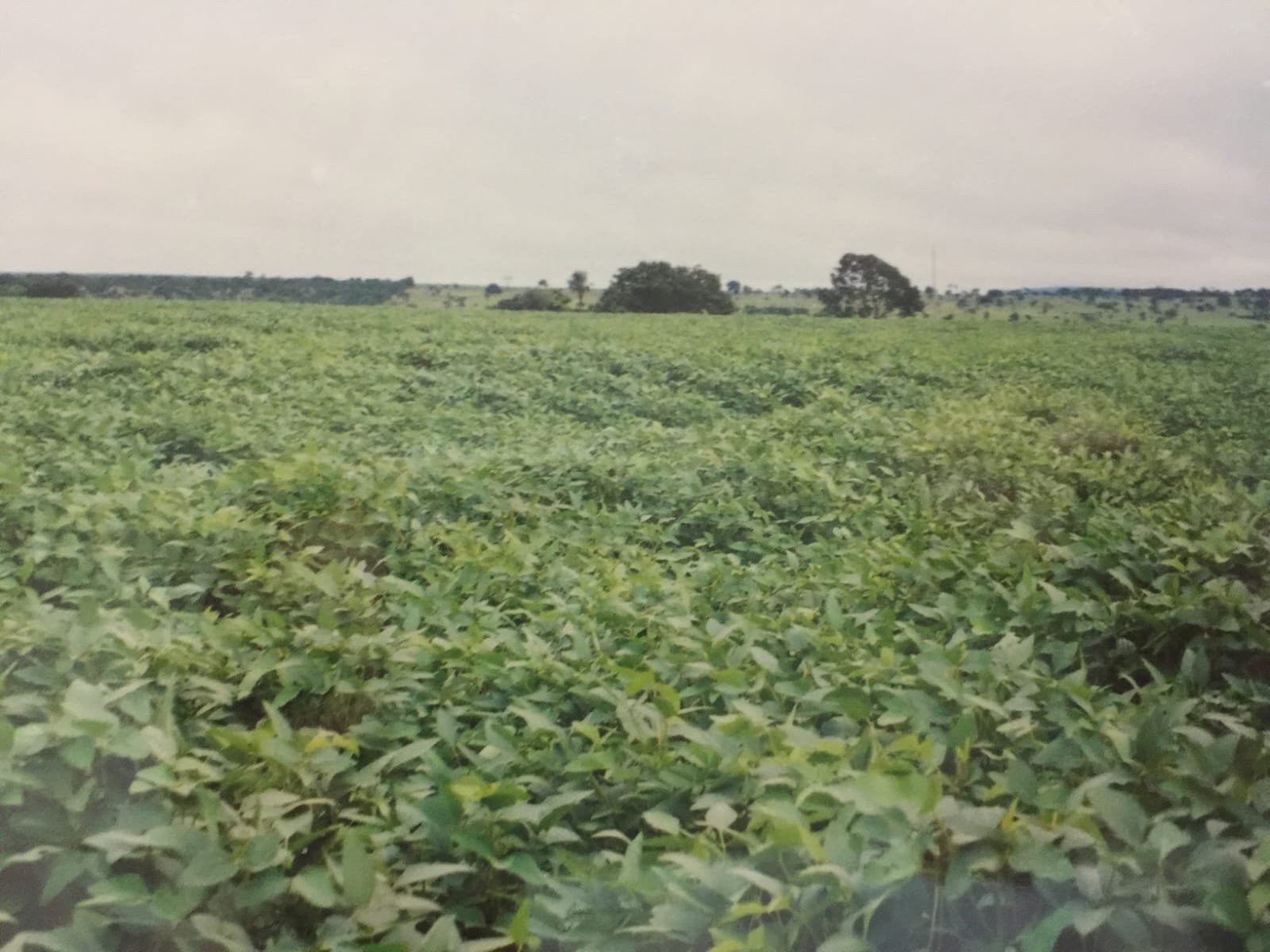 Fazenda, 82 m² - Foto 4