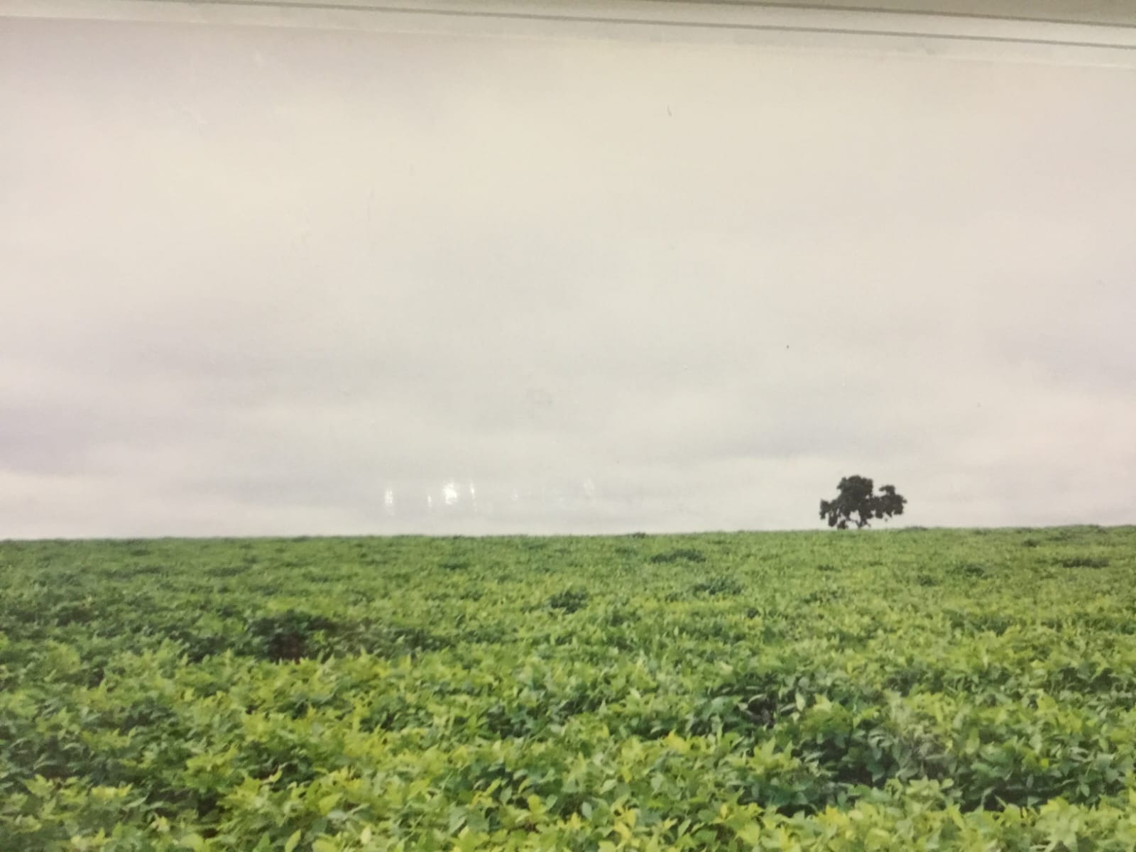 Fazenda, 82 m² - Foto 1